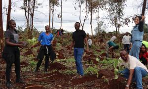 Tree Planting activity in Ngong Forest May 2025