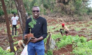Tree Planting activity in Ngong Forest May 2025