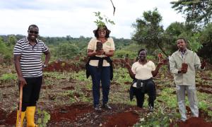 Tree Planting activity in Ngong Forest May 2025